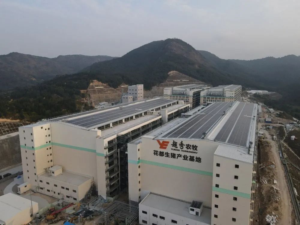 越秀租赁：聚焦绿色普惠金融 加速服务“百千万工程”
